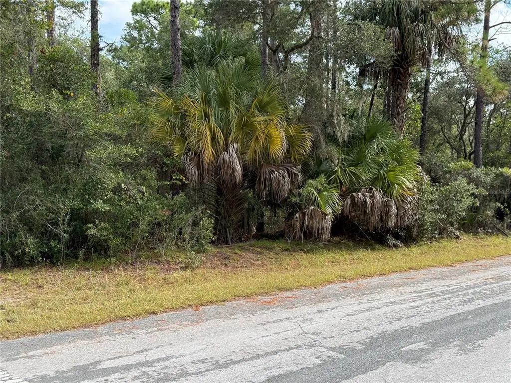 8941 N Star Blaze Drive 2, CRYSTAL RIVER