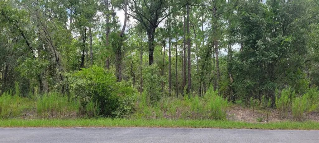 Nw Chestnut Avenue, DUNNELLON