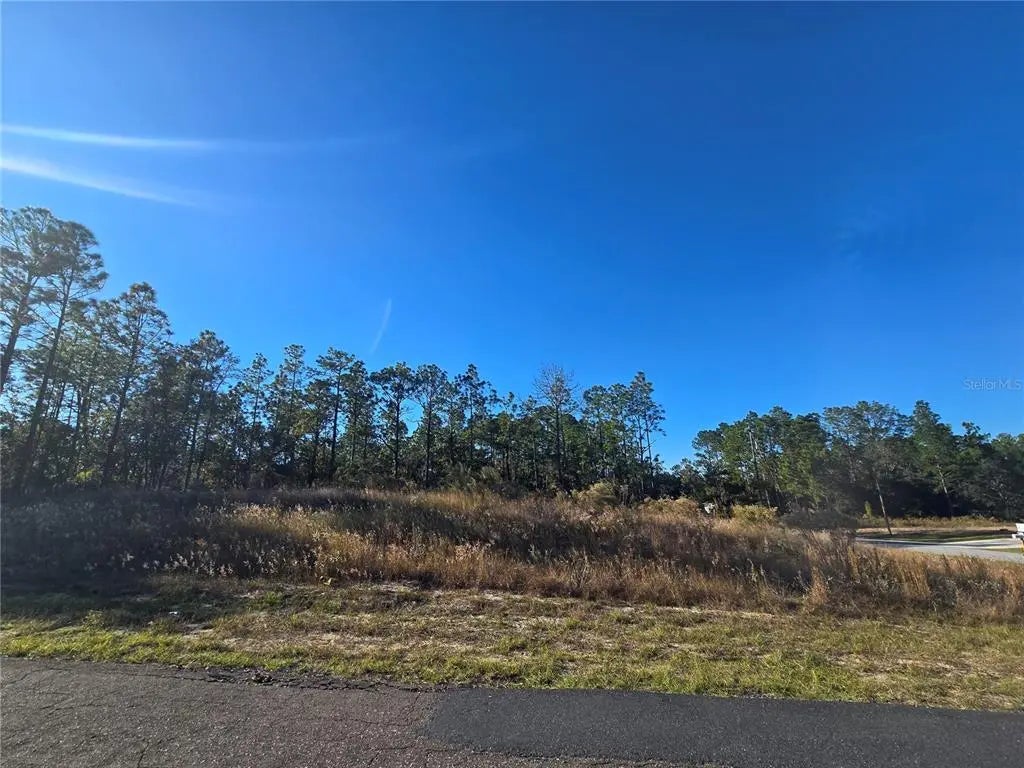 9388 N Old Mill Way, CITRUS SPRINGS