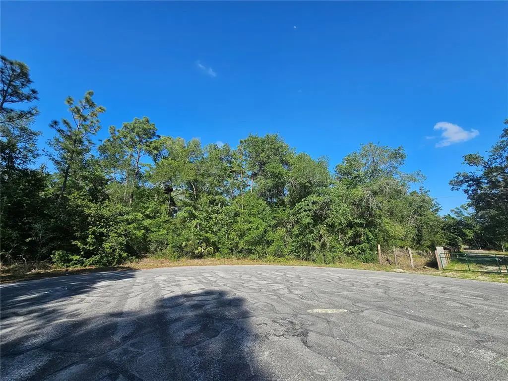 13431 Flagstaff Drive, BROOKSVILLE