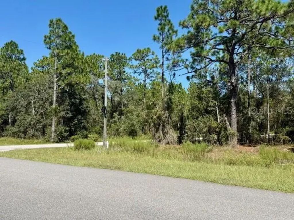 135 Court Se, DUNNELLON