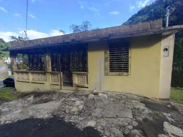 Carr 810 Km 0.4 Bo. Achiote, NARANJITO