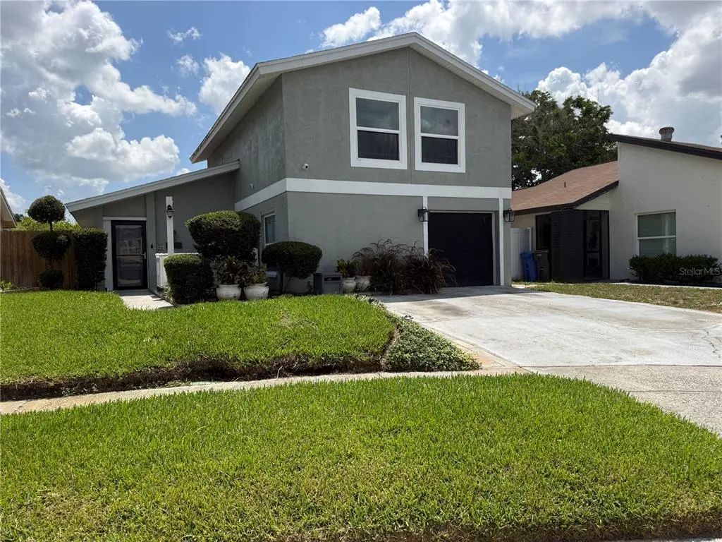 10009 Regal Woods Lane, TAMPA