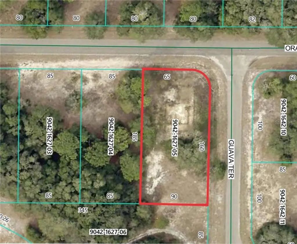 11745 Orange Road, OCKLAWAHA