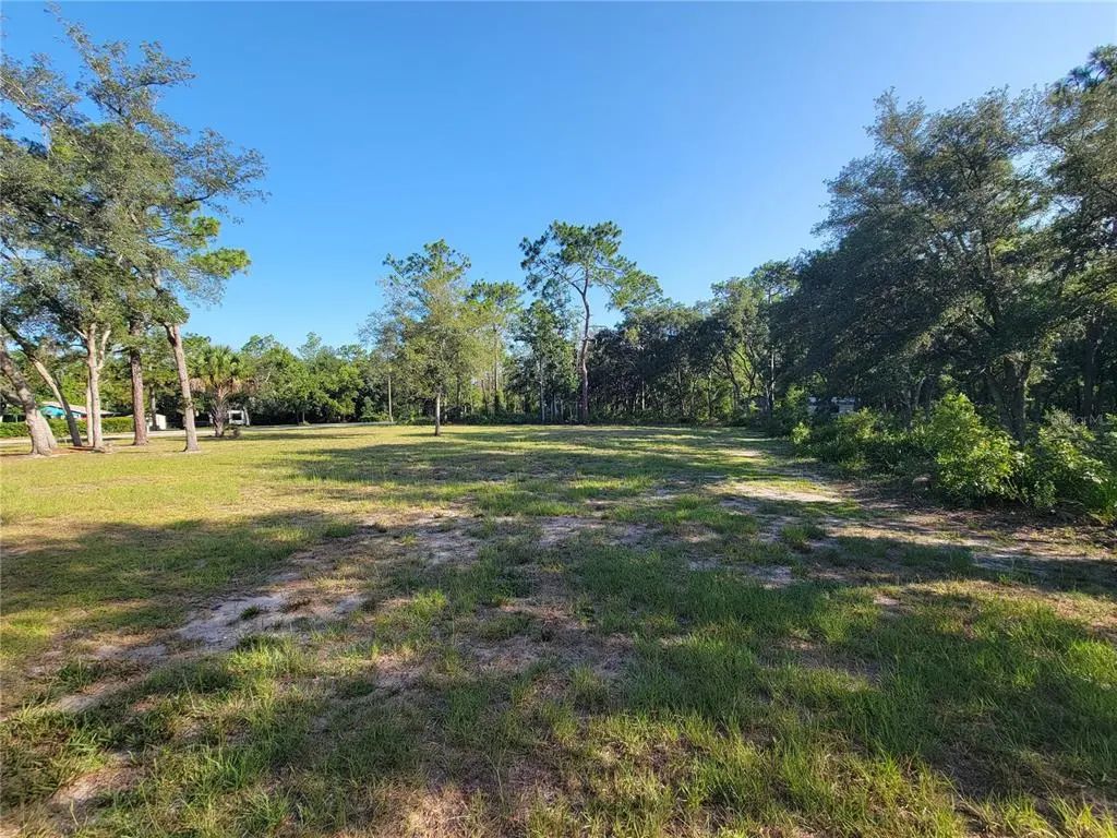 2075 S Colonial Avenue, HOMOSASSA