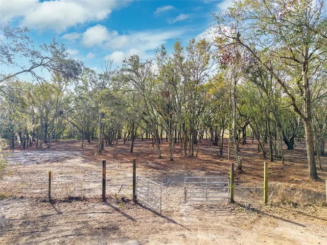 Justin Lane, PLANT CITY