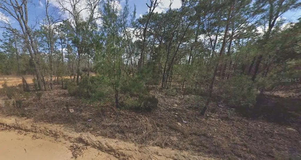 133 Lake Lucy Court, INTERLACHEN