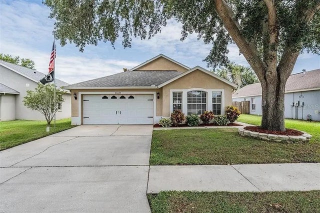 24449 Mistwood Court, LUTZ