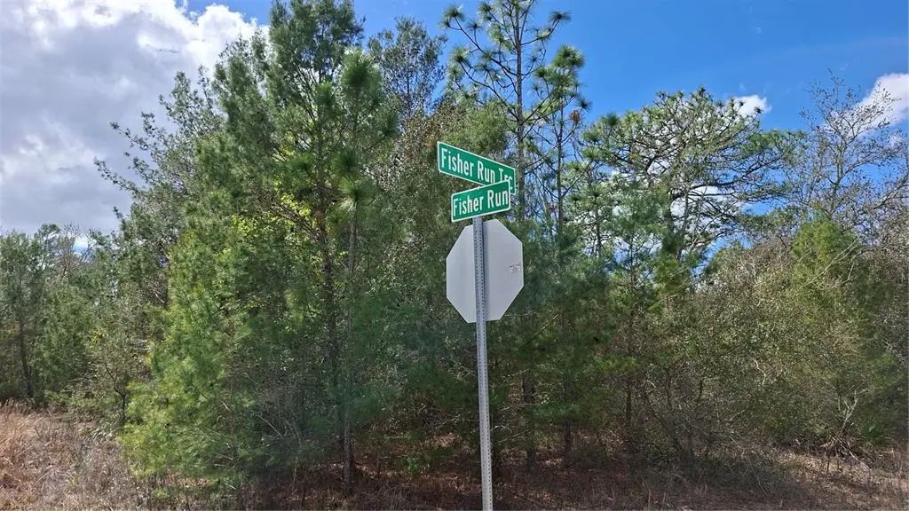 Fisher Run, OCKLAWAHA