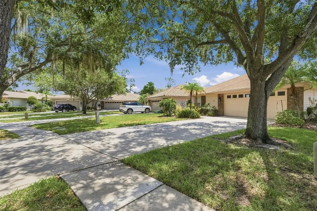 1469 Riverdale Drive, OLDSMAR