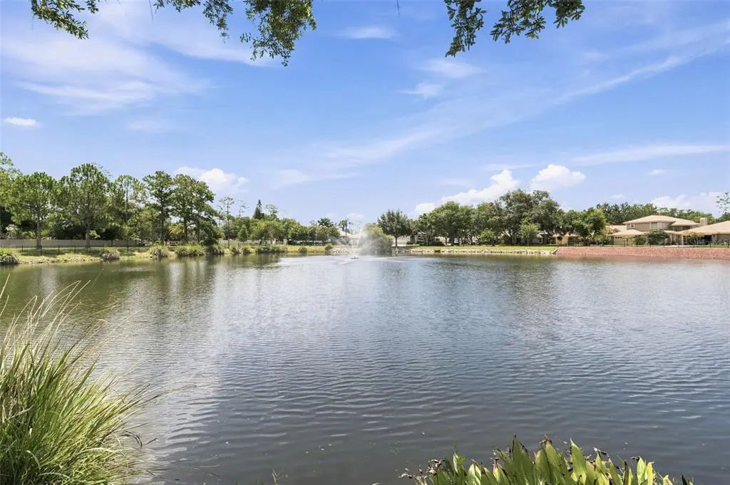 1469 Riverdale Drive, OLDSMAR