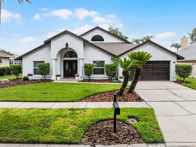 9246 Dayflower Drive, TAMPA