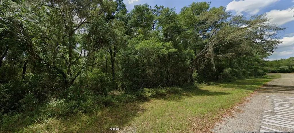282 W Whitmarsh Court, DUNNELLON