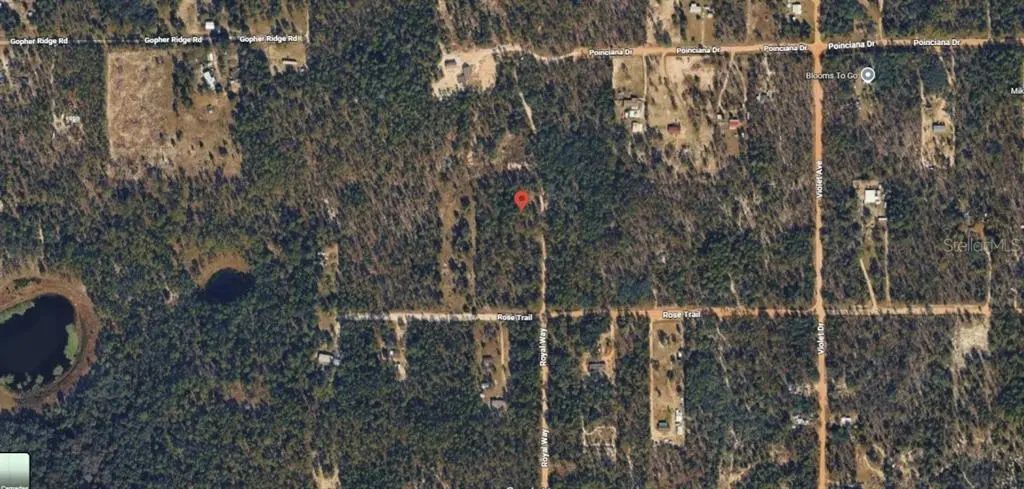 Royal Way, INTERLACHEN