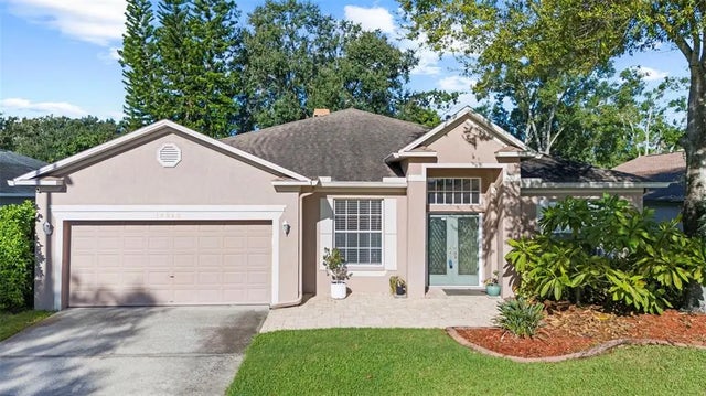 12922 Lake Ventana Drive, TAMPA