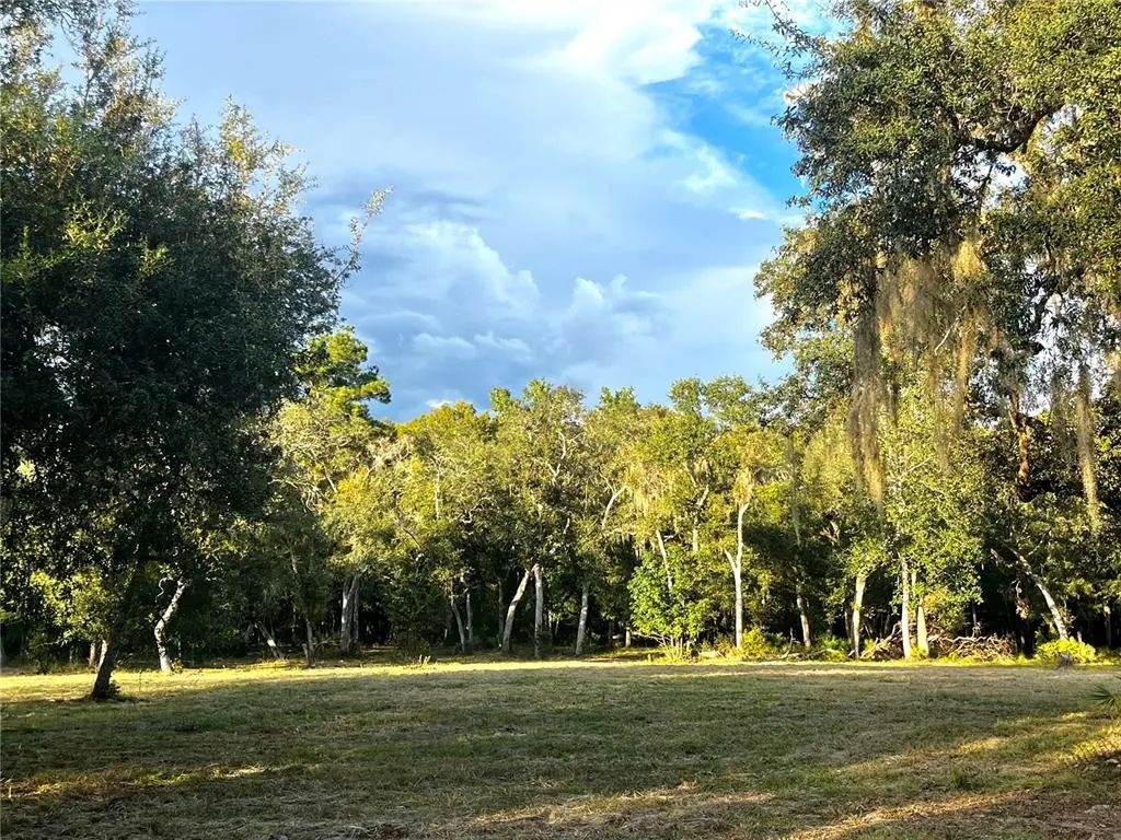 Canal Street, FANNING SPRINGS