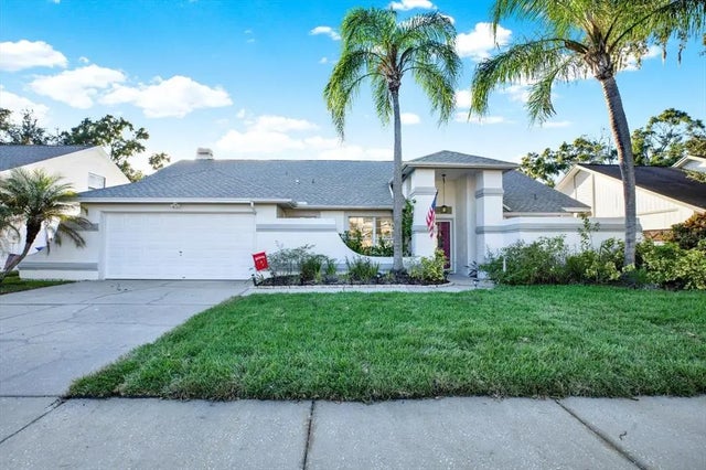 15830 Glenarn Drive, TAMPA