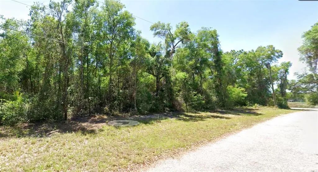 4374 E Mate Lane, HERNANDO