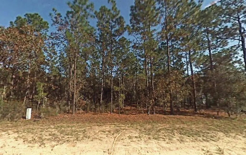 Lot 5 Sw 166th Court Road, DUNNELLON