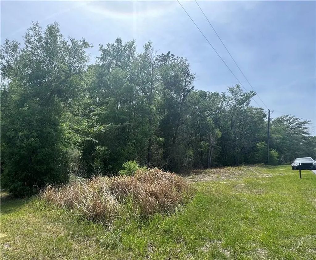 2493 W Magenta Drive, Dunnellon