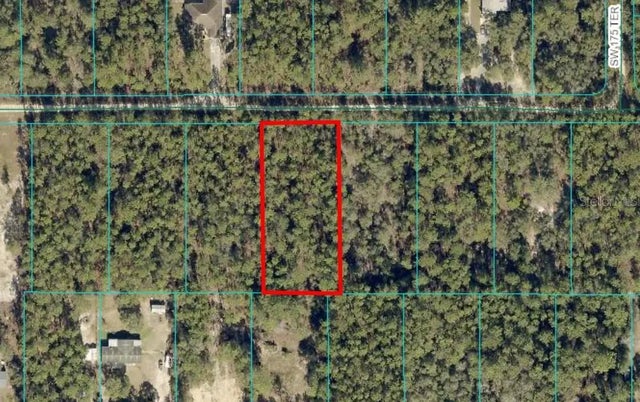 Tbd Lot 13 Sw 39th Street, DUNNELLON