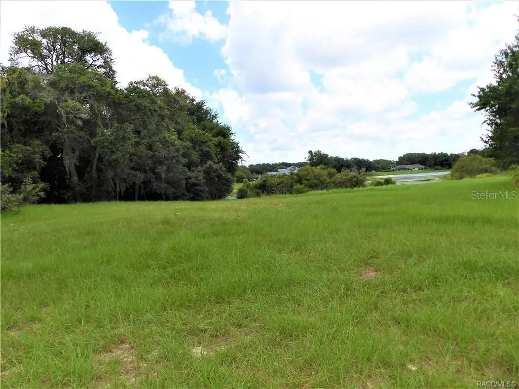 9546 E Baymeadows Drive, INVERNESS