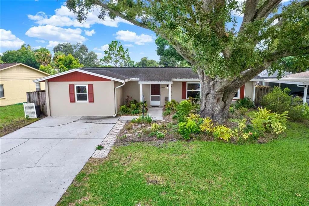 22537 Newfield Court, LAND O LAKES