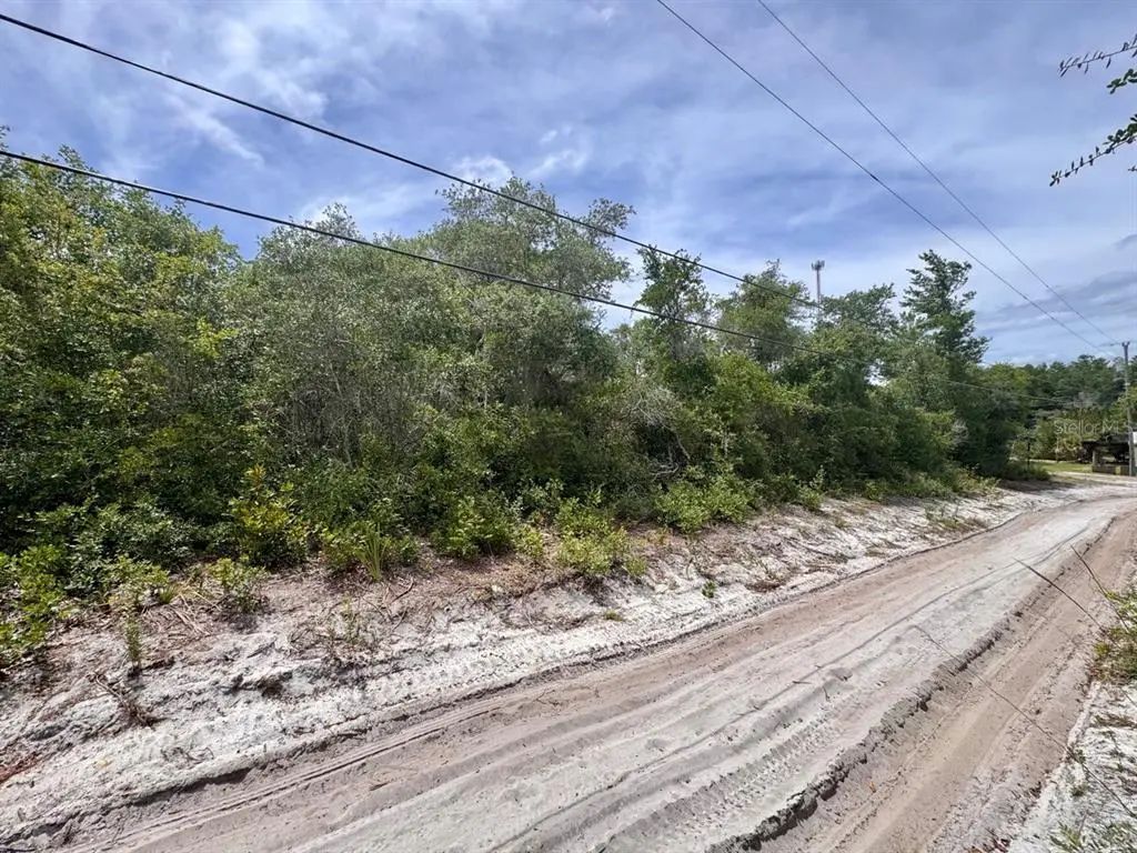 Ne 306th Terrace, SALT SPRINGS