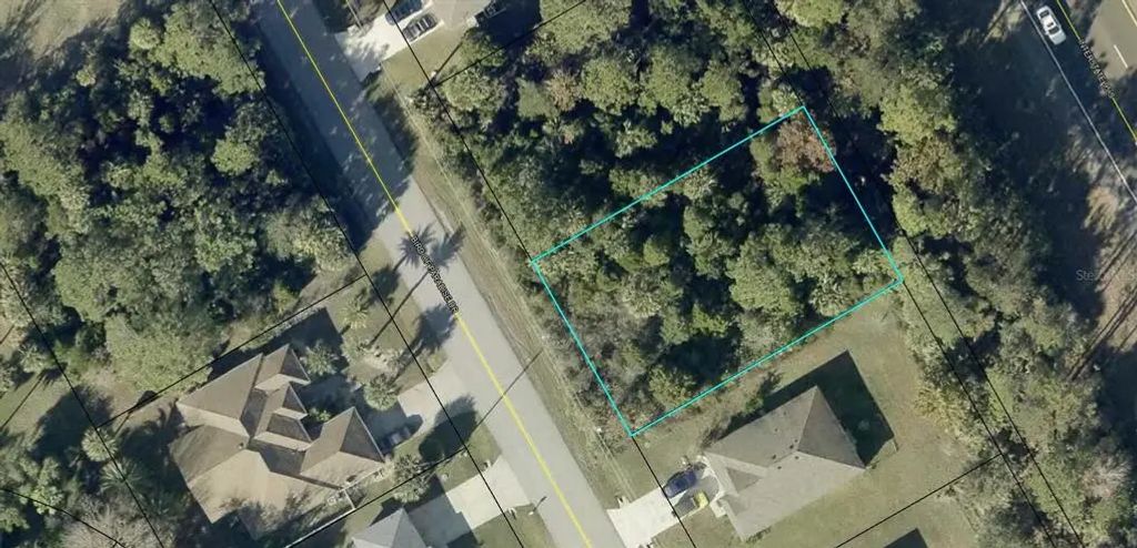 174 Bird Of Paradise Drive, PALM COAST