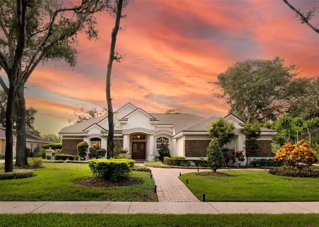 6023 Hammock Hill Avenue, LITHIA