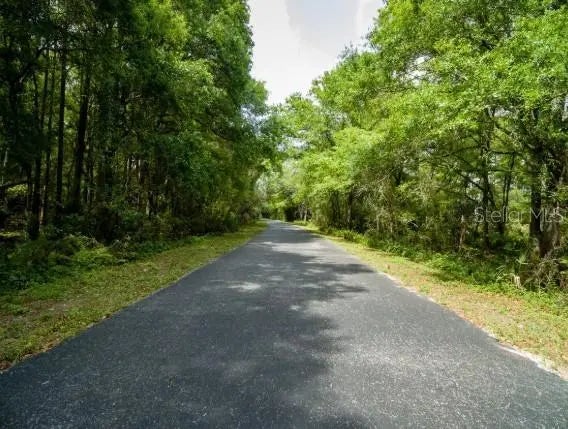 Avonwood Street, TAMPA