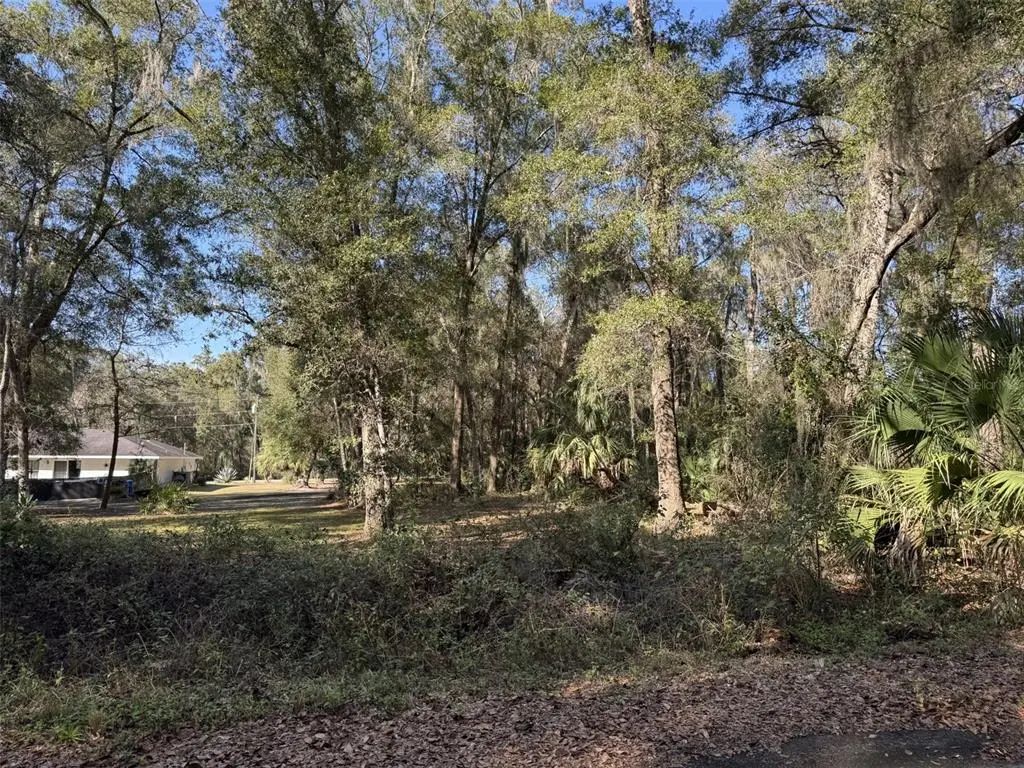 Sequoia Loop Track, OCKLAWAHA