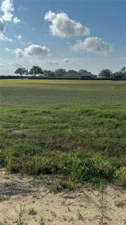 10005 White Egret Drive, THONOTOSASSA