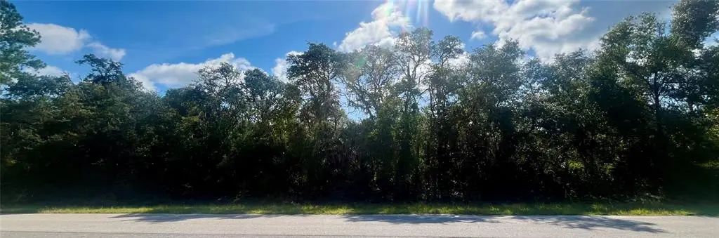 Tbd Fisher Road, OCKLAWAHA