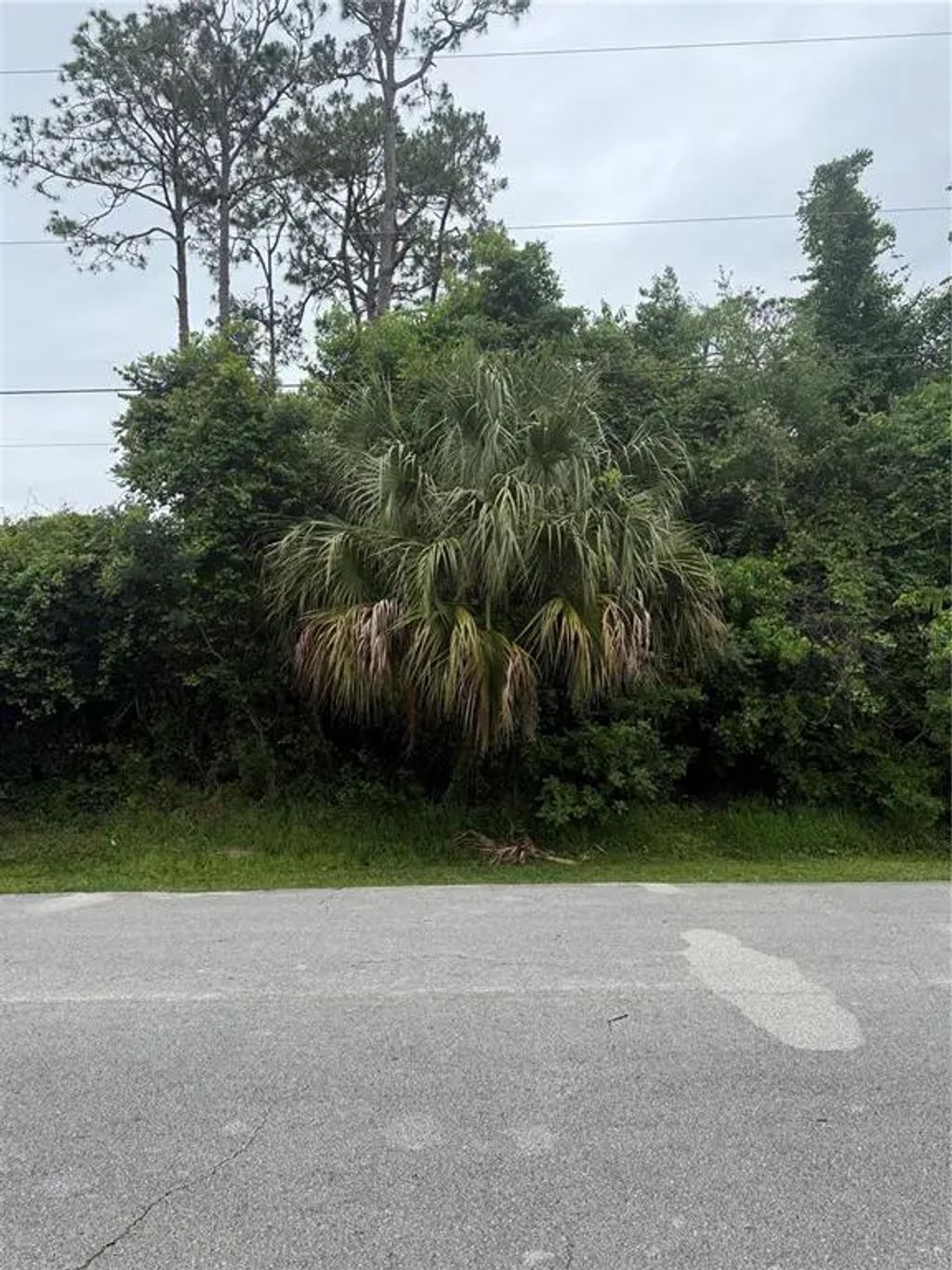 38 Squash Blossom Trail, PALM COAST