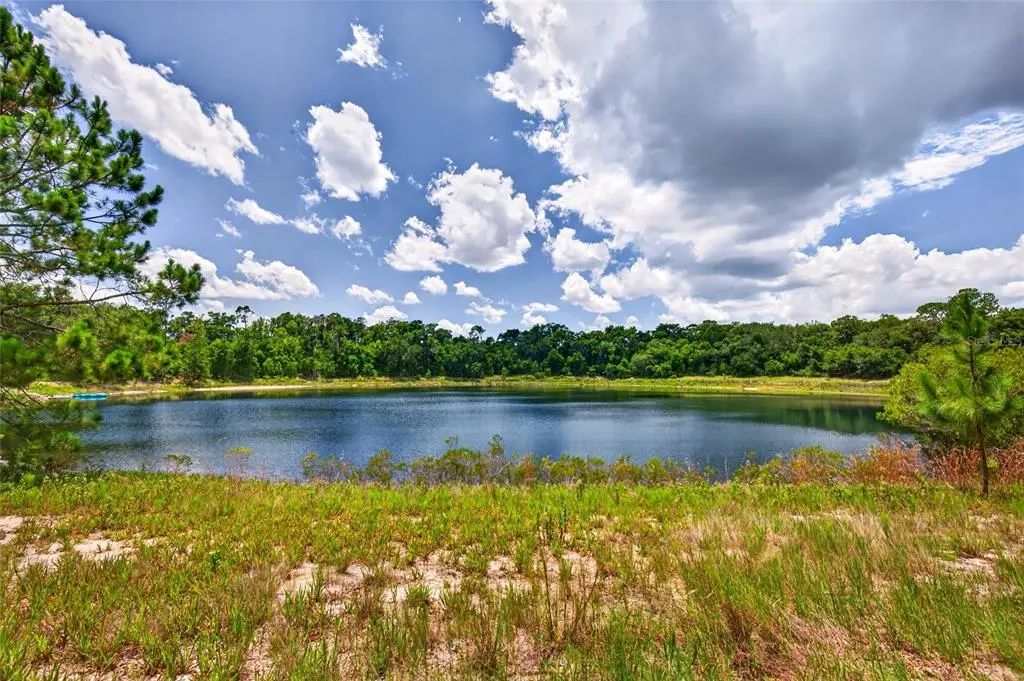Malauka Loop, OCKLAWAHA