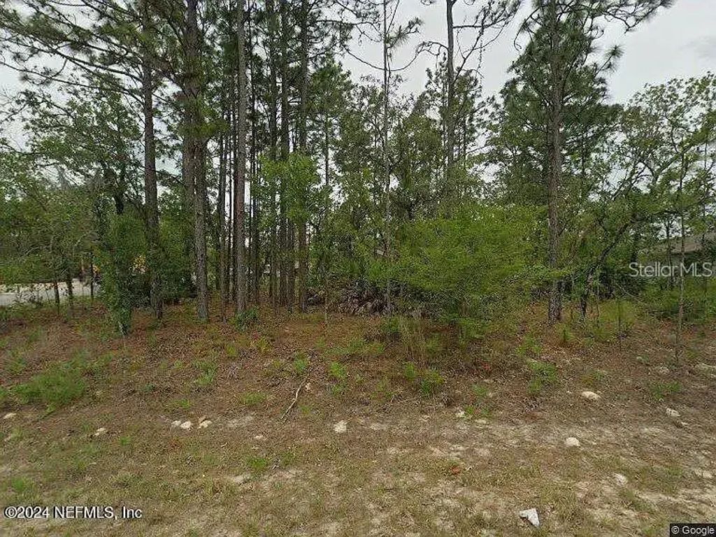 2044 W Riley Drive, Citrus Springs