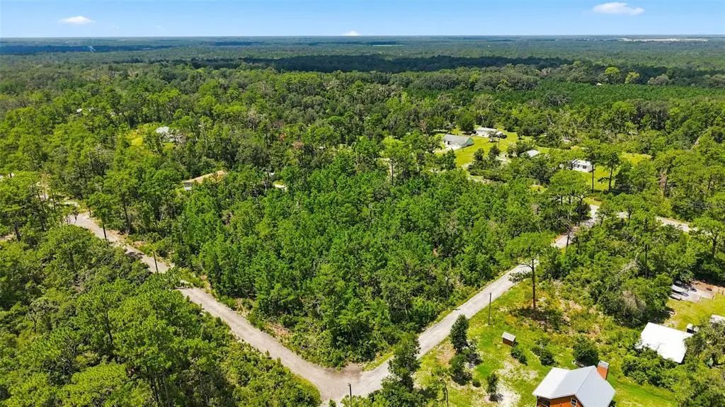 Lanier (lot 1) Avenue, BROOKSVILLE