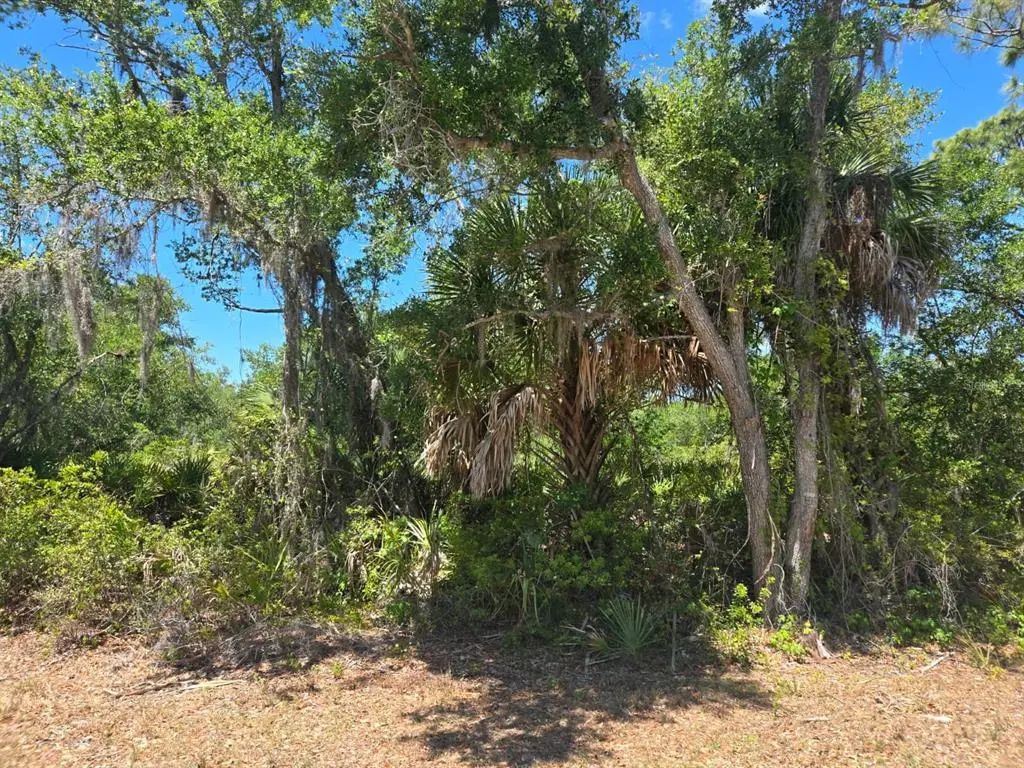 3137 Calexico Street, PORT CHARLOTTE