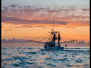 Gulf Shores Realty: 43 38a1c1d267b49ea9a73ee1aebfc176c4 s