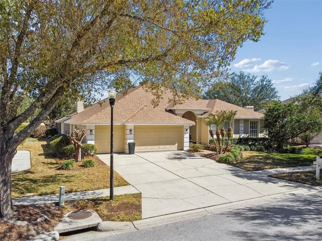 17503 Edinburgh Drive, TAMPA