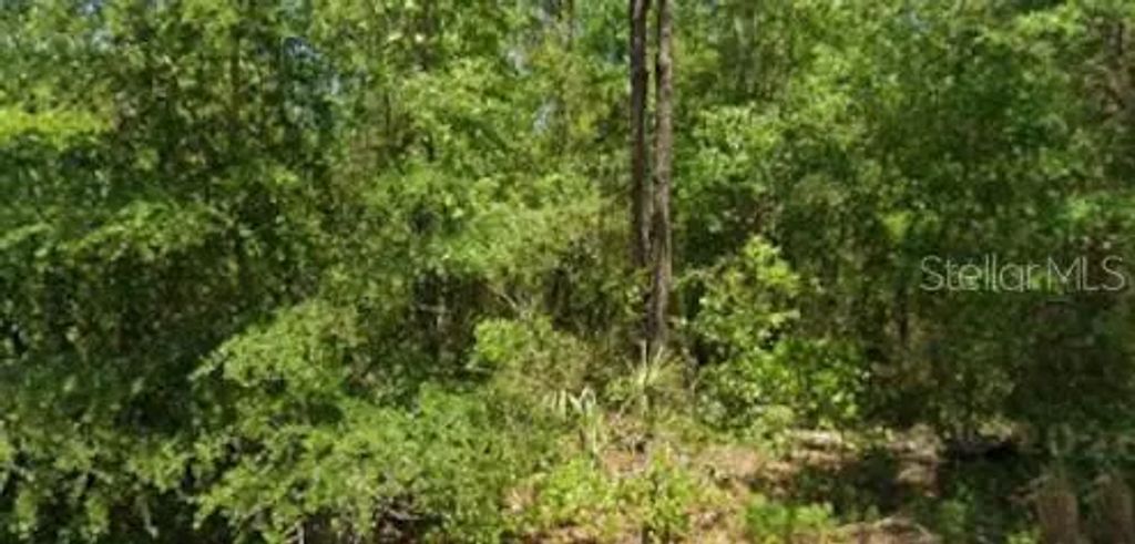 21425 Rainbow Lakes Boulevard, DUNNELLON