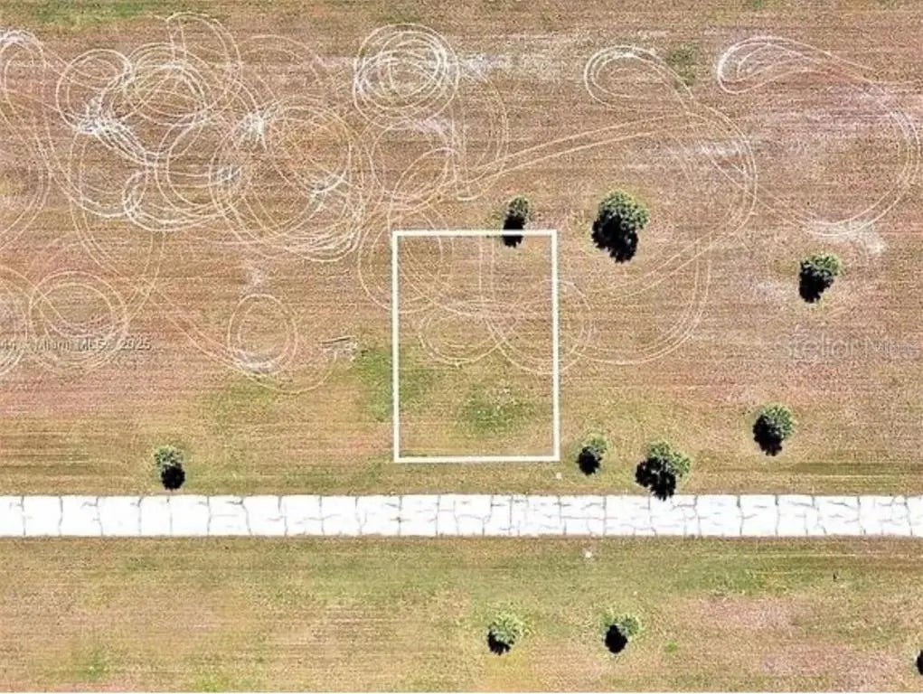 Photo of Listing #O6352021