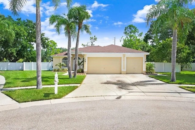 8708 Eagle Cove Court, TAMPA