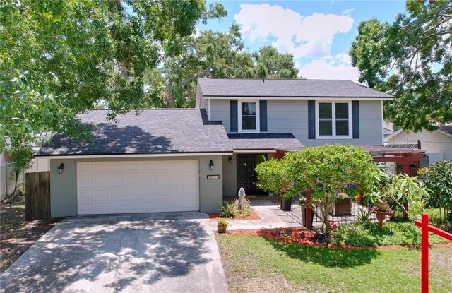4030 Braesgate Lane, TAMPA