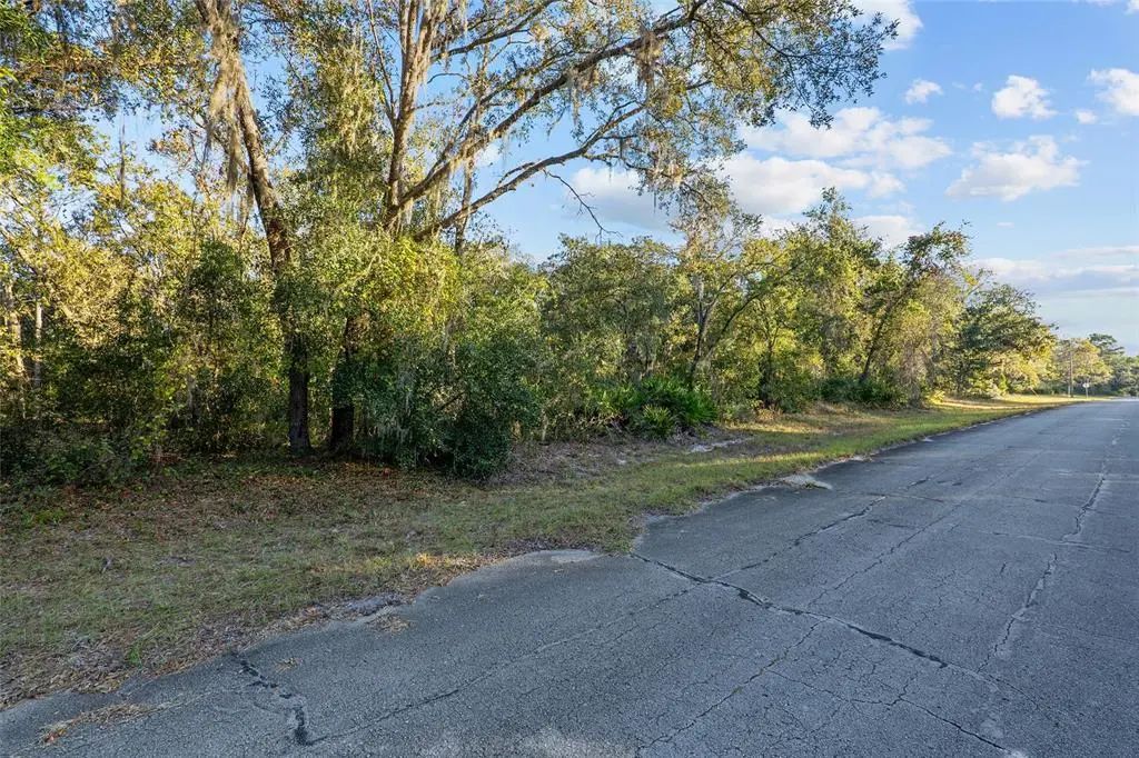 Tbd Sw 174 Place, OCALA