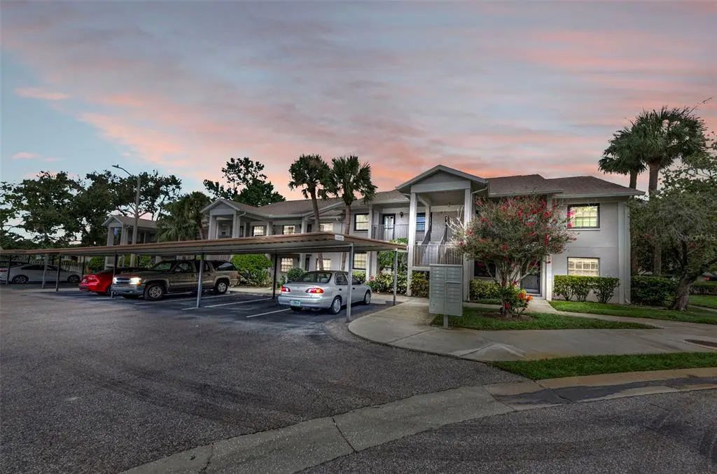 2119 Elm Street 103, DUNEDIN