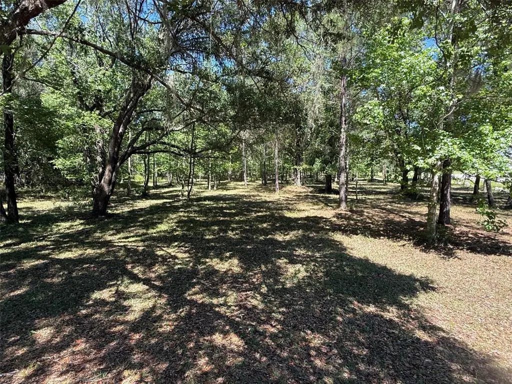 Nw 145 Avenue, WILLISTON