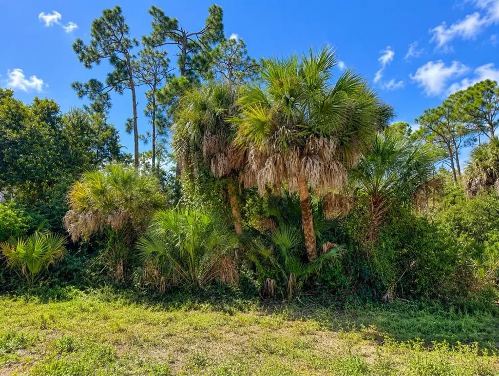 17129 Nixon Avenue, PORT CHARLOTTE