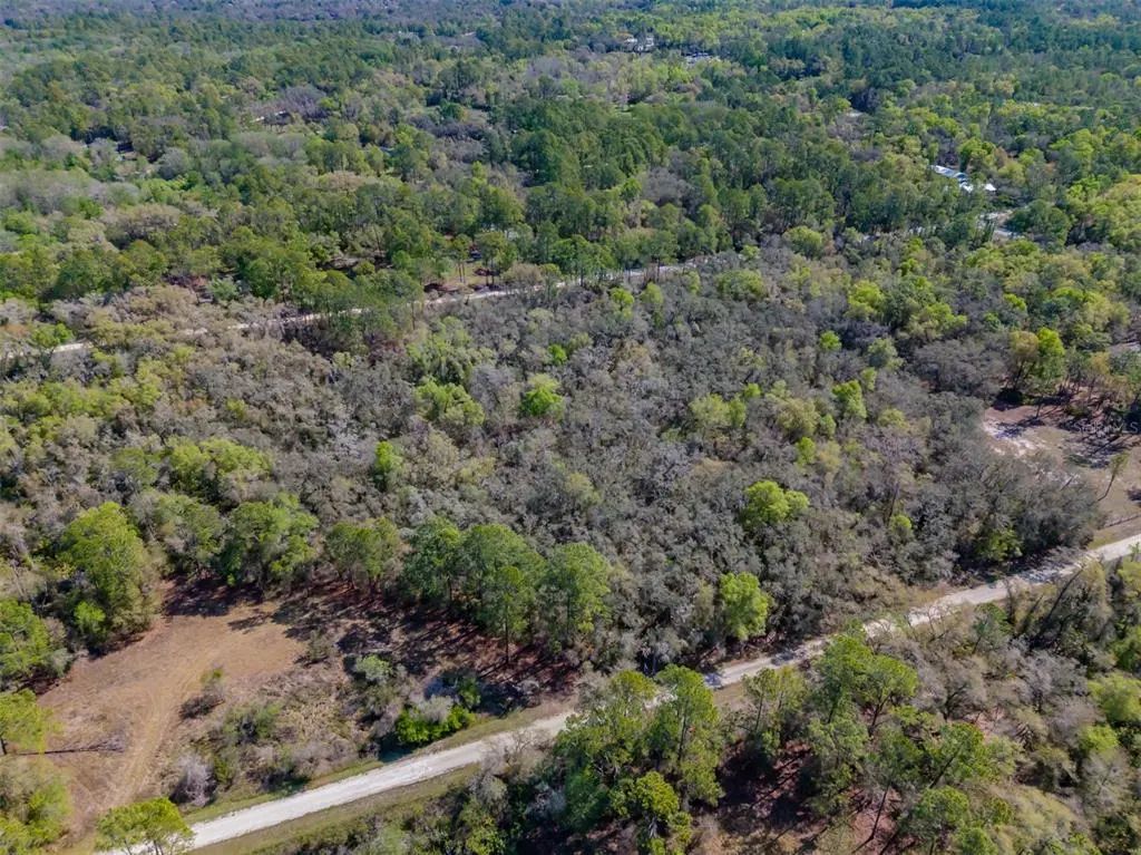 7262 Sonia Avenue, WEBSTER